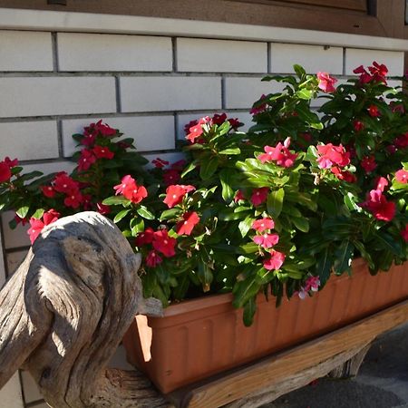 Apartma Zala Most na Soči Zewnętrze zdjęcie