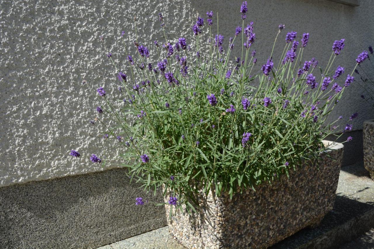 Apartma Zala Most na Soči Zewnętrze zdjęcie