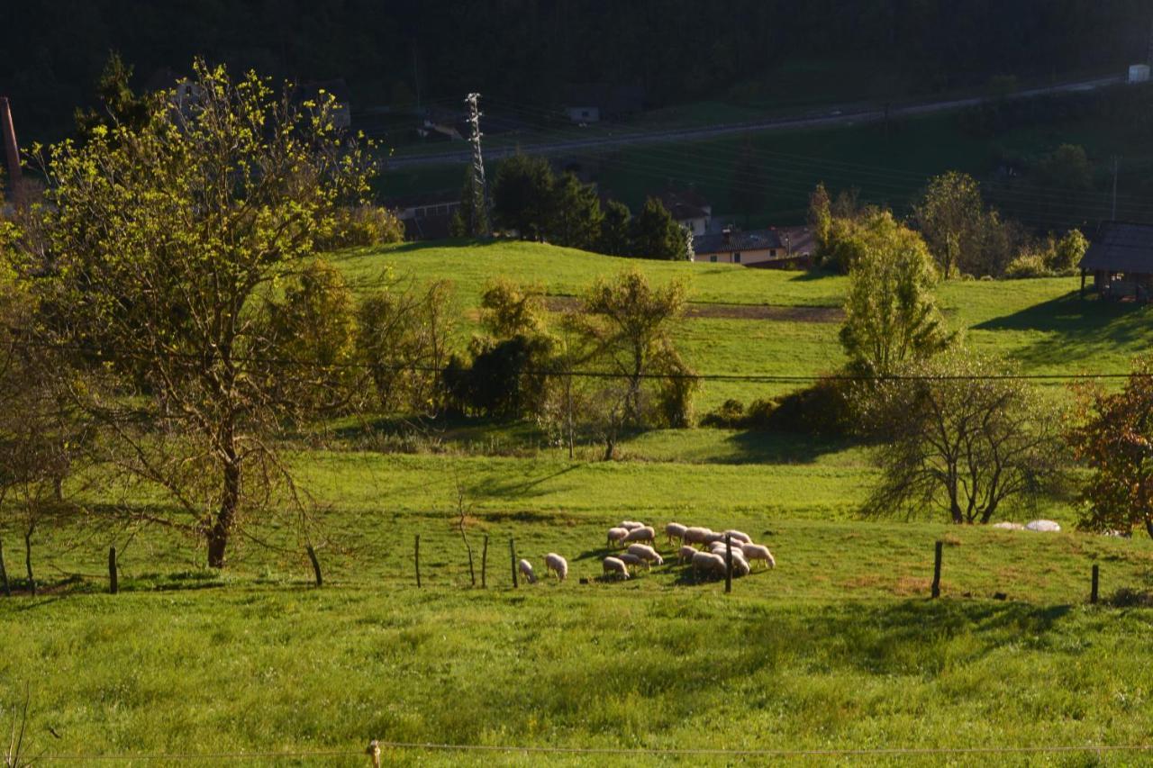 Apartma Zala Most na Soči Zewnętrze zdjęcie